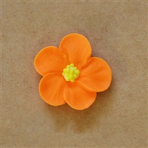 Anemone klein orange dunkel